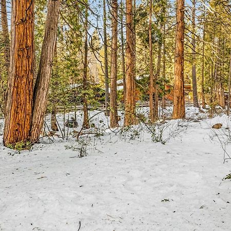 Creekside Cabin Hotel Idyllwild Exterior foto