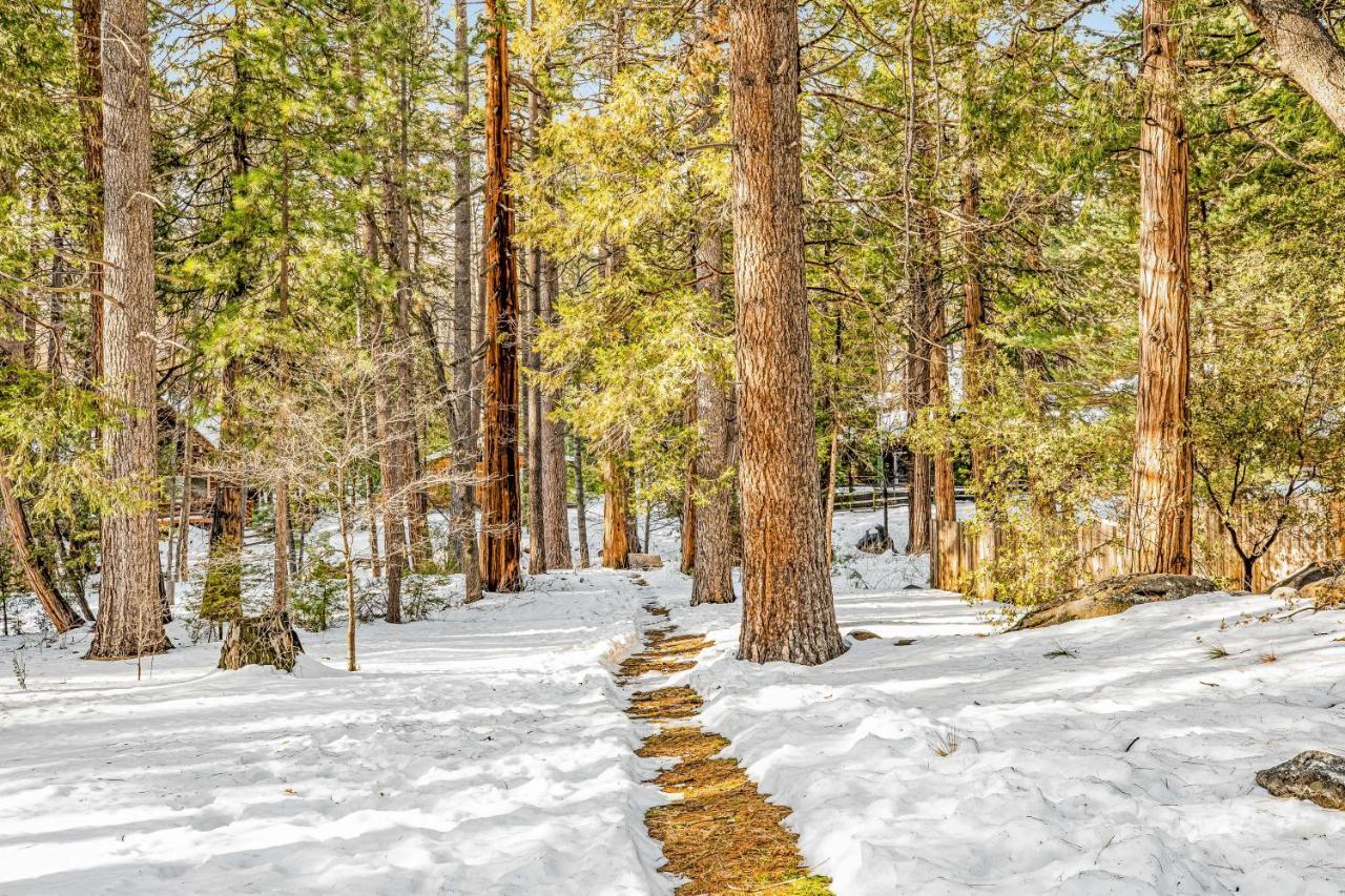 Creekside Cabin Hotel Idyllwild Exterior foto